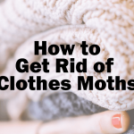 How to Get Rid of Clothes Moths